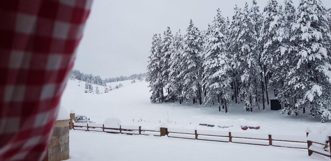 Tornik Studio Zlatibor Dış mekan fotoğraf