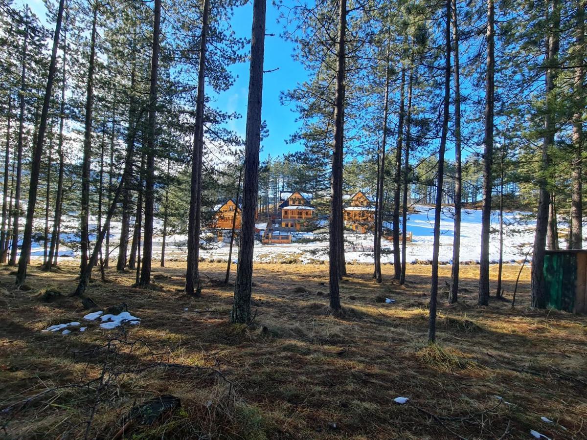 Tornik Studio Zlatibor Dış mekan fotoğraf