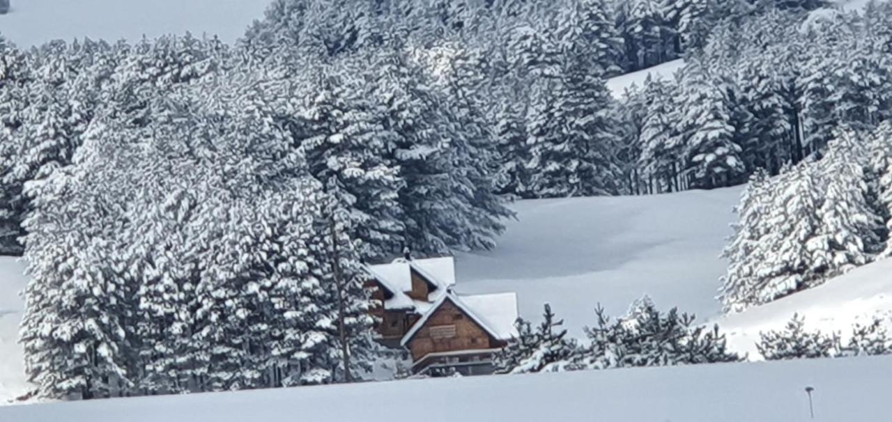 Tornik Studio Zlatibor Dış mekan fotoğraf